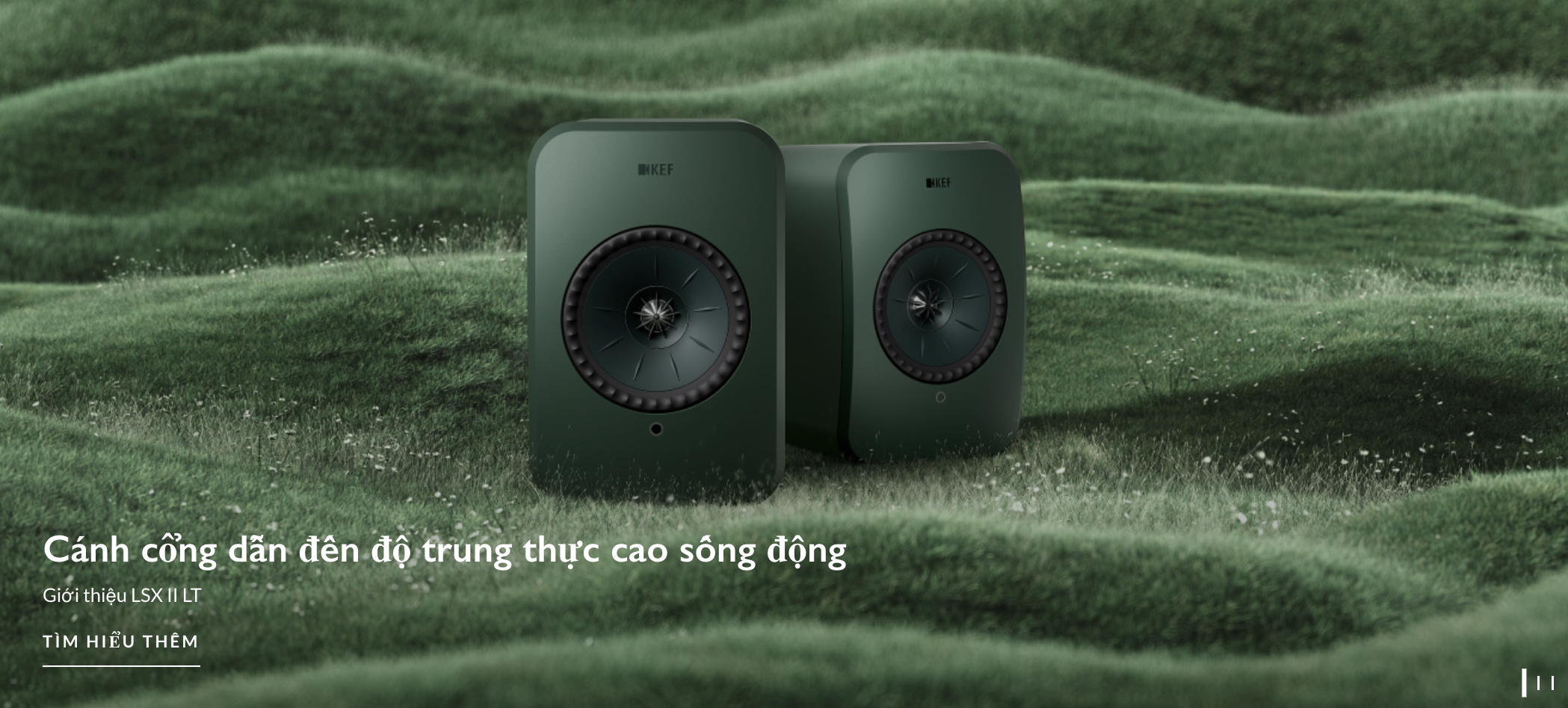 Hình ảnh liên hệ